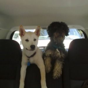 Meet your Posher, Nilofur